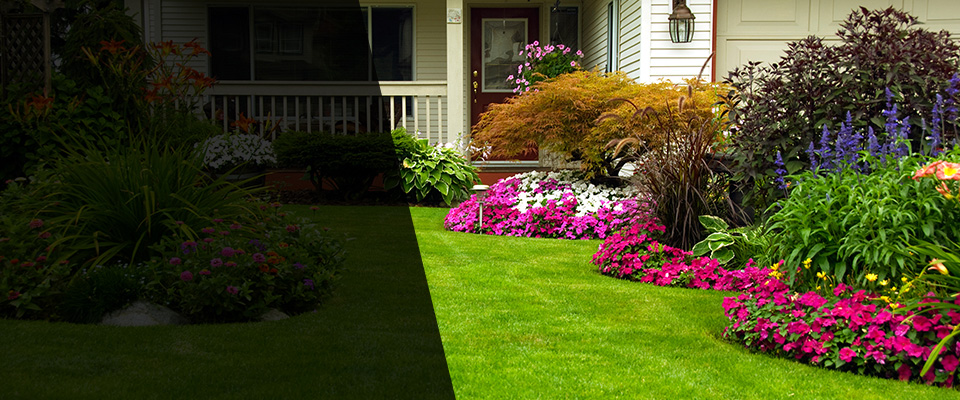 Buffalo Lake Landscapers