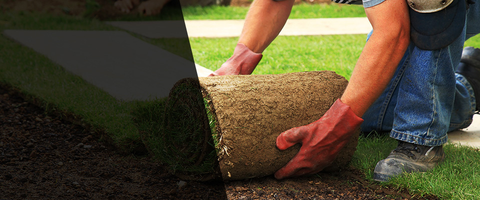 Buffalo Lake Landscapers